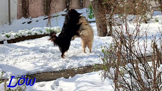 3.4.2022 - Tanz auf dem Schneeparkett 